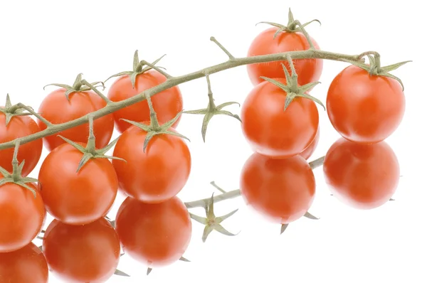 Tomate maduro em branco — Fotografia de Stock