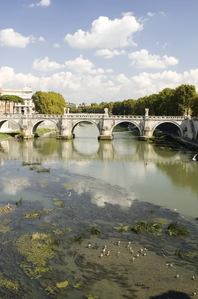 River Tiber with bridge — Stock Photo, Image