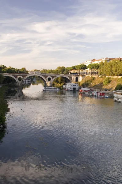 罗马的台伯河河 — 图库照片