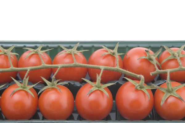Pomidora w polu makra — Zdjęcie stockowe