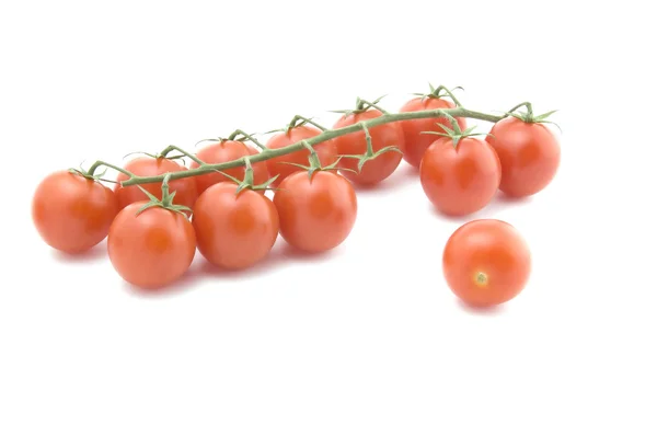 Beyaz makro üzerinde domates — Stok fotoğraf