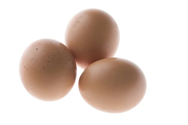 Gula ägg på vit — Stockfoto