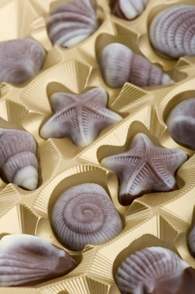 Шоколадні цукерки крупним планом — стокове фото