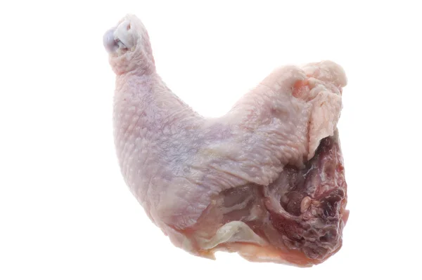 Gamba di pollo su bianco — Foto Stock