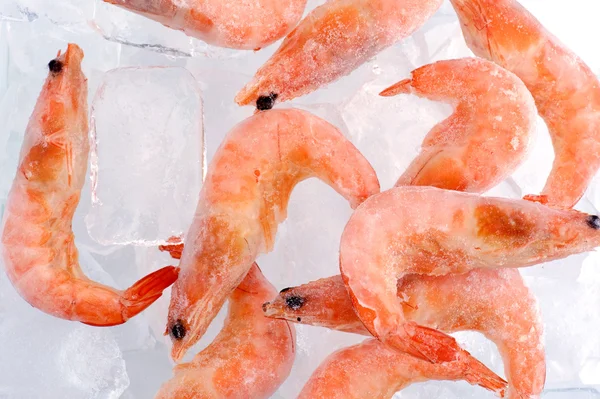 Crevettes congelées avec glace Images De Stock Libres De Droits