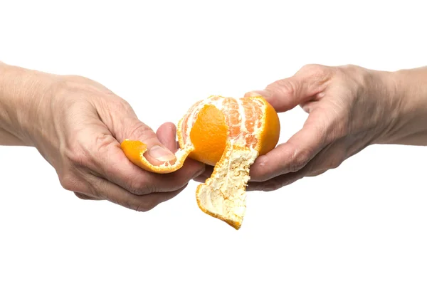 Mandarin in hand — Stock Photo, Image