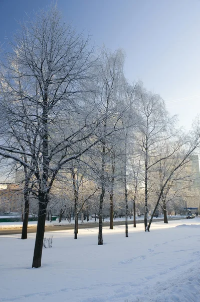 Зима в місті — стокове фото