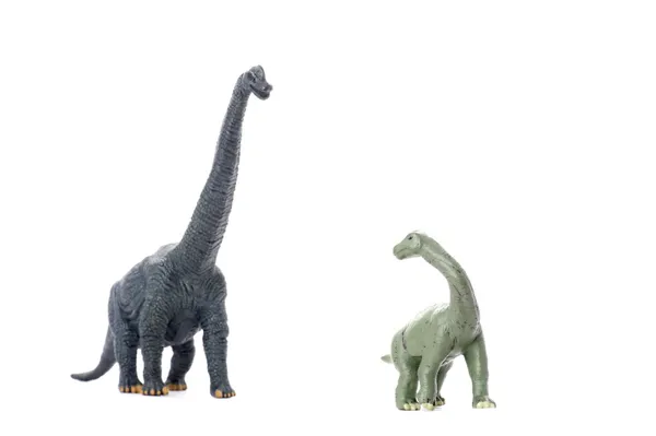 Två dinosaurie isolerad på vit — Stockfoto