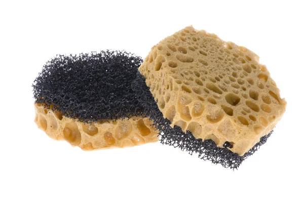 Two sponge on white — Stock Photo, Image