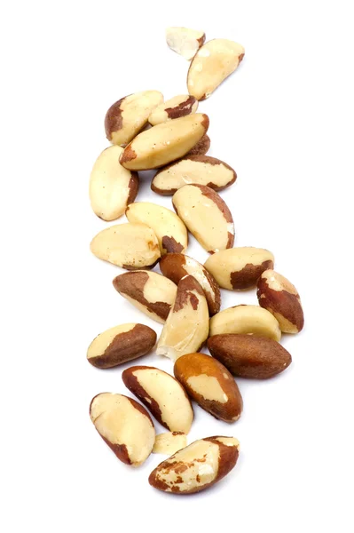Brazilian nut — Stock Photo, Image