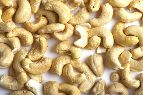 Nut on white close up — Stock Photo, Image