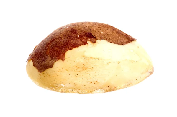 The Brazilian nut macro — Stock Photo, Image