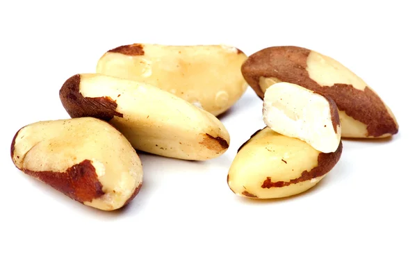 Brazilský ořech — Stock fotografie