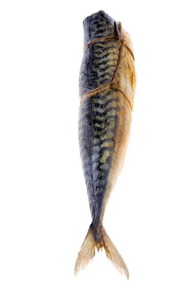 Smoked mackerel on white — Stock Photo, Image