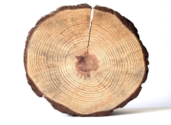 Círculo de madeira — Fotografia de Stock