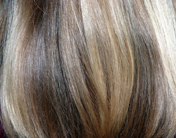 Szőke haj — Stock Fotó