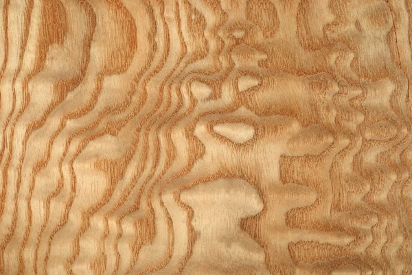 Dýha dřevěná — Stock fotografie