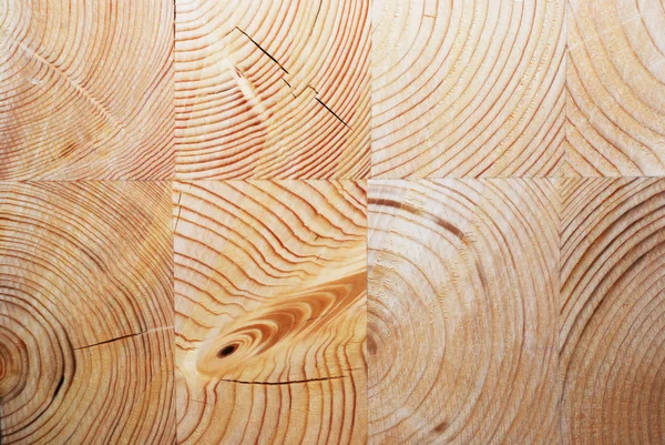 Cerchio di legno — Foto Stock