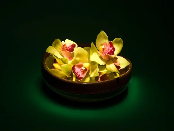 Orchideen in einer Vase — Stockfoto