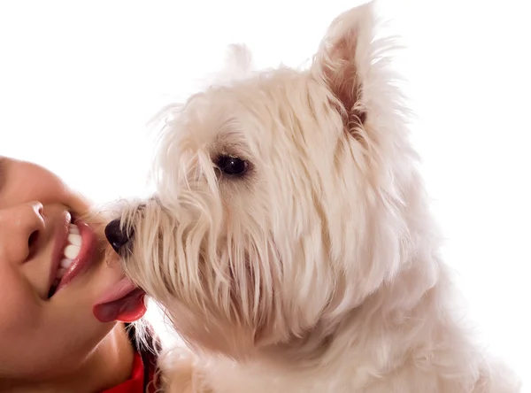 Mujer joven con West Highland White Terrier —  Fotos de Stock