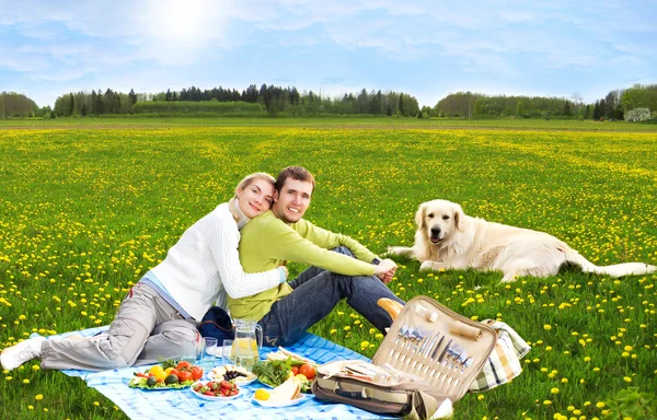 ゴールデン ・ リトリーバーとのピクニックでのカップル — ストック写真