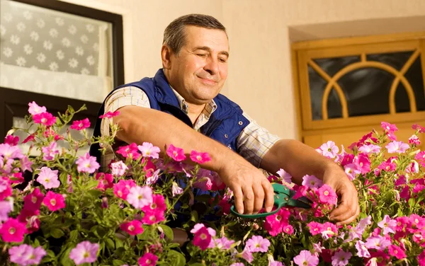 Homme fleuriste travaillant dans le jardin — Photo