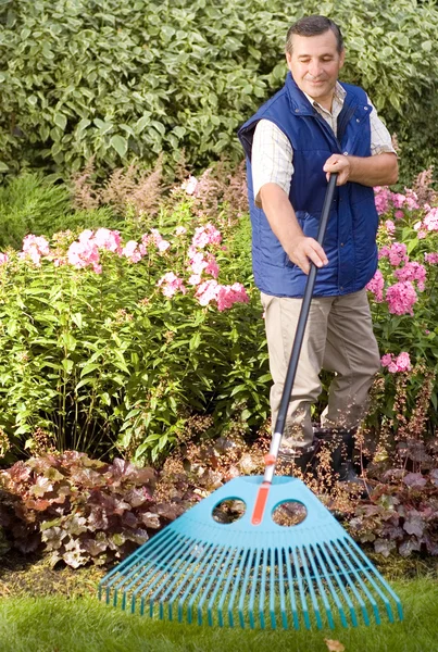 Mann harkt Garten — Stockfoto