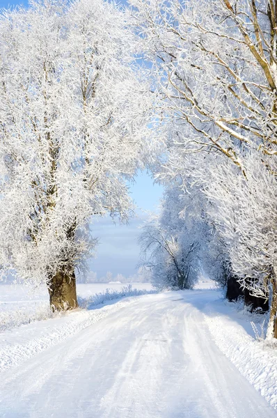 Stock image Snowy road