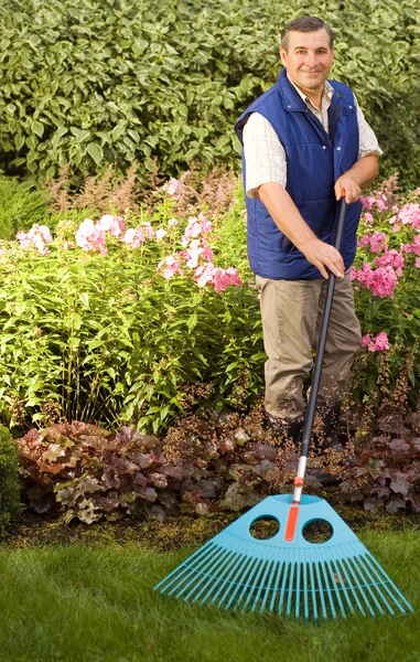 Man raking garden — Stock Photo, Image