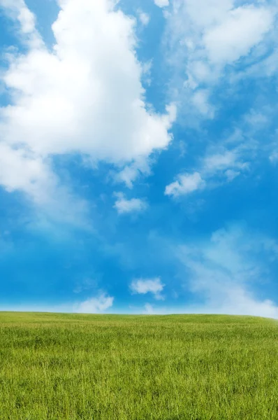 Colline verte sous un ciel nuageux bleu — Photo