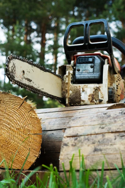 Chainsaw on wood cuttings (Shallow DOF) — Stock Photo, Image