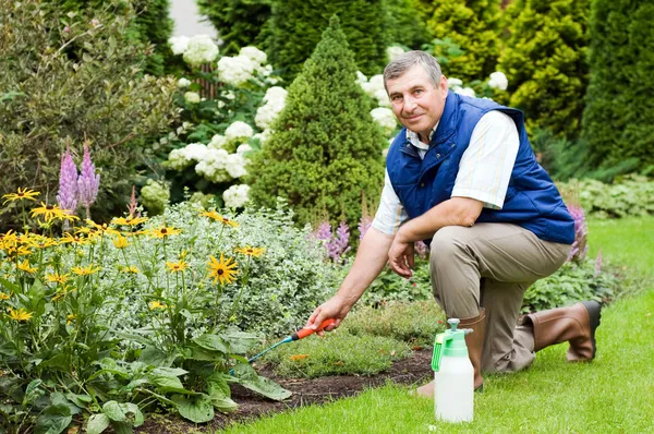 Homem raking jardim — Fotografia de Stock