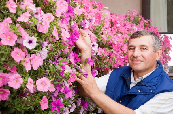 Senior férfi virágkötő dolgozik a kertben — Stock Fotó
