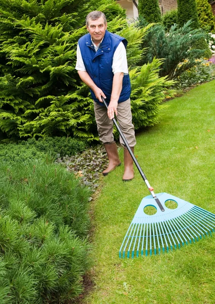 Man raking garden — Stock Photo, Image