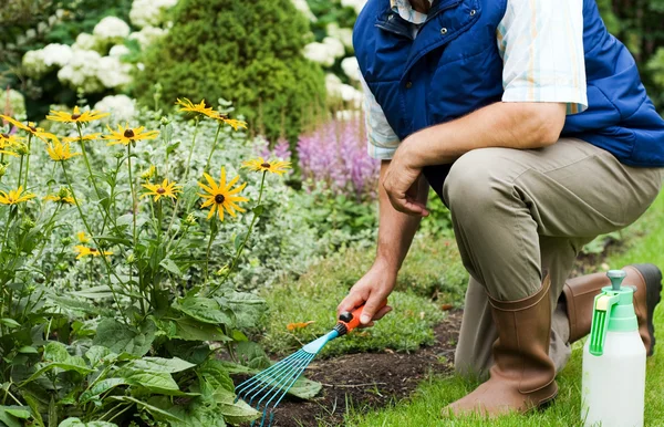 Man working in the garden — Stock Photo, Image