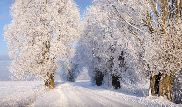 stock image Snowy road