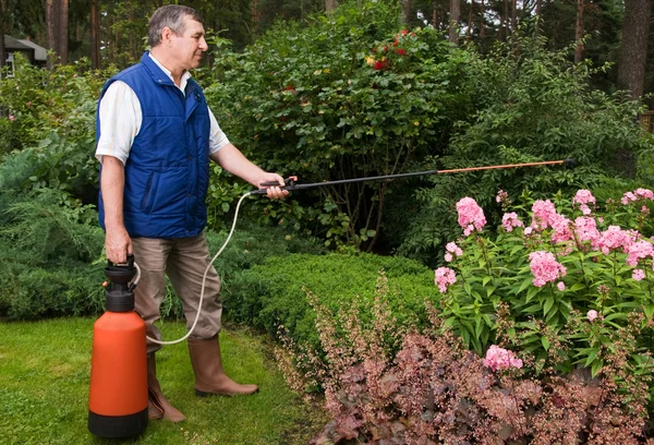Floristin arbeitet im Garten — Stockfoto