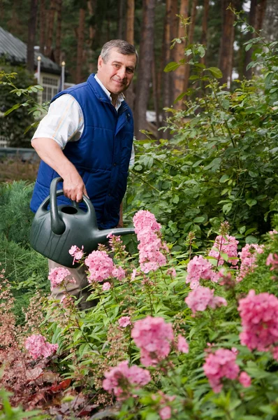 Hombre regando flores en el jardín — Foto de Stock