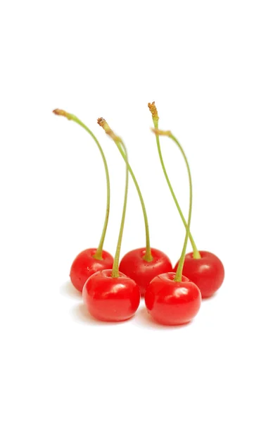 stock image Cherries