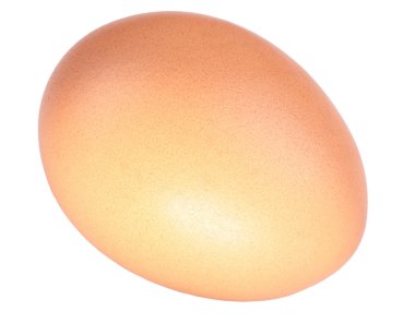 Chicken egg isolated clipart