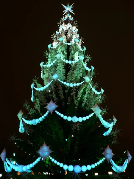 緑のクリスマス firtree の玩具 — ストック写真