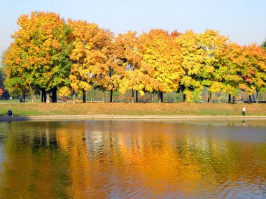 Şehir parkında sonbahar