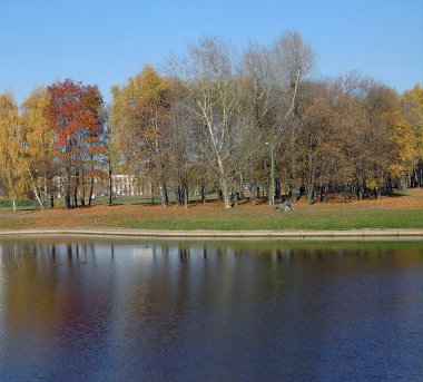 Sonbaharda altın park