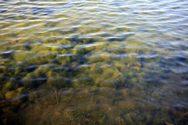 Ondulación en el agua —  Fotos de Stock