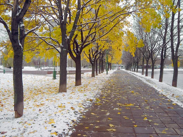 stock image Early melting snow