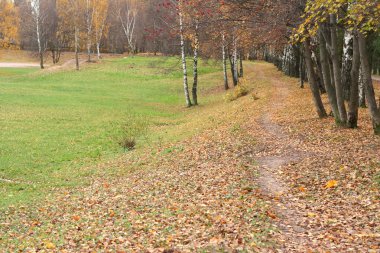 Şehir parkında sonbahar