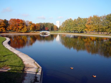 Şehir parkında sonbahar