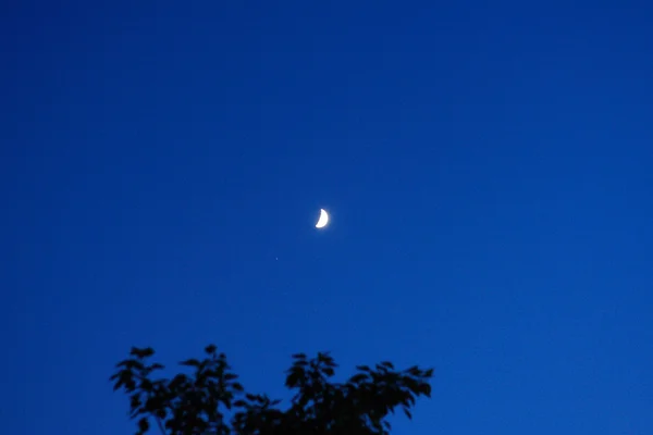 Luna falciforme — Foto de Stock