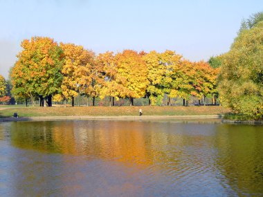 Şehir parkında sonbahar