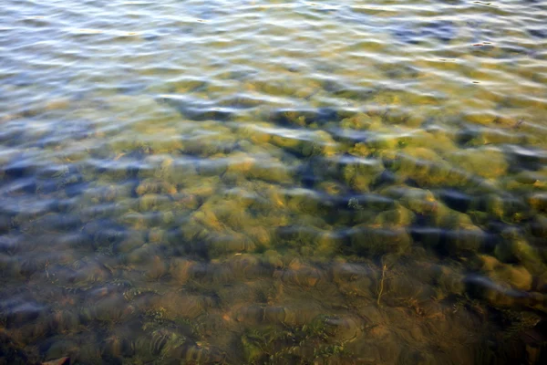 Zvlnění na vodě — Stock fotografie